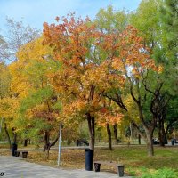 Таганрог. Приморский парк :: Нина Бутко