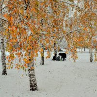 Проказы матушки зимы. :: Татьяна Помогалова