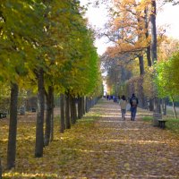 Аллея в парке :: Танзиля Завьялова