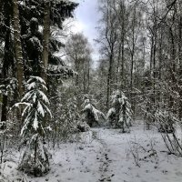 Пока без сугробов. :: Любовь 