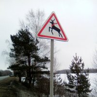 Нижегородский АРТ на дорогах :: Светлана Петрова