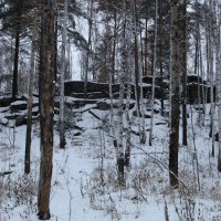 В окрестностях Екатеринбурга :: Ольга 