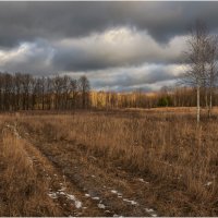 "...Стоял ноябрь уж у двора..." :: Валентин Котляров