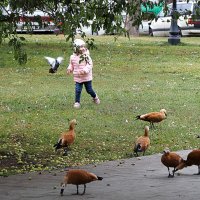 все смешалось :: Олег Лукьянов