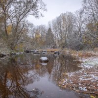 **** :: Елизавета .