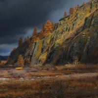 Горное разноцветье :: Дмитрий Шишкин