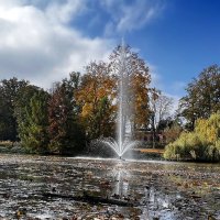 Пусть счастье нам она приносит, Ненастья дальше все уносит. :: "The Natural World" Александер