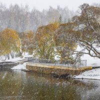 Снегопад :: Галина Новинская