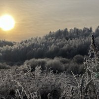 Сибирское морозное утро :: Нозим Нуриллаев