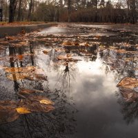 Осенние :: юрий поляков