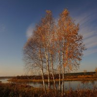 У Енисея.Осень... :: Владилен Панченко