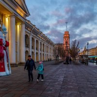 Ноябрь в Санкт-Петербурге 4 :: Андрей Дворников