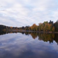 Поздняя осень. Сайменское озеро. :: Ольга 