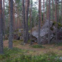 Карельский ландшафт :: Анастасия Софронова