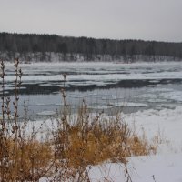 Река Томь :: Евгения Каравашкина