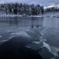 Утки улетели… :: Любовь 