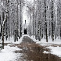 Снегопад в Смоленске :: Милешкин Владимир Алексеевич 