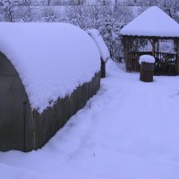 Мой сад в конце ноября :: Людмила Смородинская