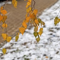 Осень с зимой встретились :: Валерий Иванович