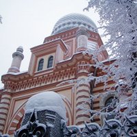 Синагога зимой...СПБ... :: vadim 