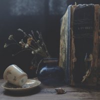 С книгой и другими :: Ирина Курмалеева