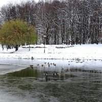 В городском парке :: Милешкин Владимир Алексеевич 