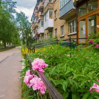 Ухта.  Летние улицы Крайнего Севера, преображающиеся после долгой снежной зимы, июнь :: Николай Зиновьев