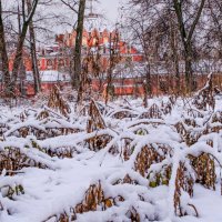 В Петровском парке :: Георгий А