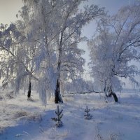 В танце :: Валентина Богатко 