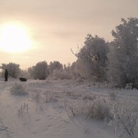 Утро,рыбак. :: сергей 