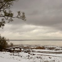 Лахта :: Наталья Герасимова