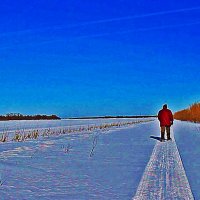 Февраль...На лыжах - в Чеускино! :: Владимир 