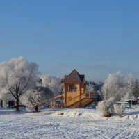 подмосковье :: Ольга 