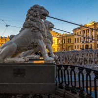 Ноябрь в Санкт-Петербурге 20 :: Андрей Дворников