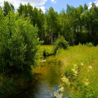 Новочебоксарск. Река Кукшум в западных окрестностях города летом. :: Пётр Чернега