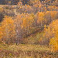 Палитра октября... :: Владимир Жданов