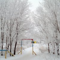 По дорожкам декабря... :: Андрей Заломленков