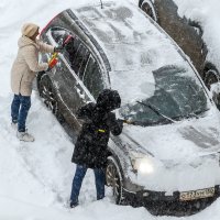 Слаженная работа. :: Анатолий. Chesnavik.