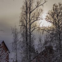 Блеклое зимнее солнце. :: Петр Беляков