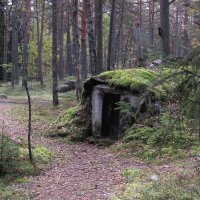 Лесной погребок :: Александр Ильчевский 