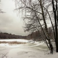 Зима на озере :: Андрей Снегерёв