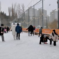 Каток в парке Дельфин :: Татьяна Машошина