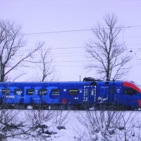 Рэкс в пути :: Людмила Смородинская