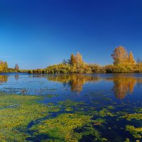 Осенняя элегия :: Николай Кандауров