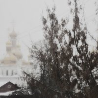 Зима. :: Надежда Павлючкова