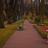Позддняя осень в Летнем саду :: Сергей Григорьев