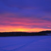 Морозное утро на Верх-Нейвинском пруду. :: NikOl .