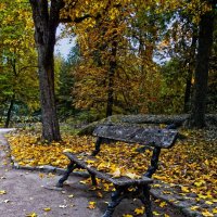 На скамье, усыпанной листвой.... :: Анна Бойнегри