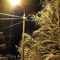 Холодный зимний вечер. :: Евгения 