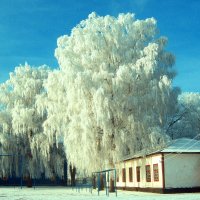 Зима в Нежине, городе, в котором с 1821 по 1828 год жил и учился великий Н. В. Гоголь :: Вита Никитка